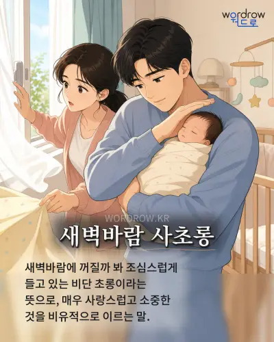 한국어 속담 “새벽바람 사초롱” 1컷 일러스트