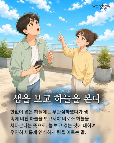 한국어 속담 “샘을 보고 하늘을 본다” 1컷 일러스트