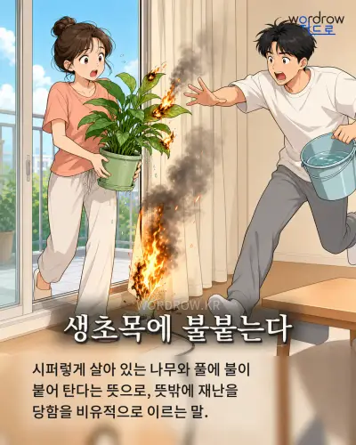 한국어 속담 “생초목에 불붙는다” 1컷 일러스트