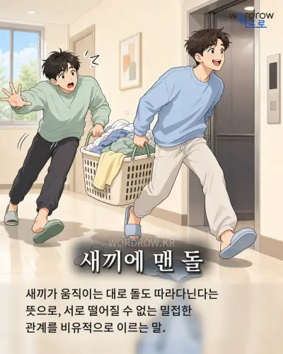 한국어 속담 “새끼에 맨 돌” 1컷 일러스트