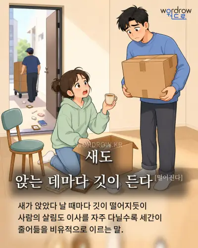한국어 속담 “새도 앉는 데마다 깃이 든다[떨어진다]” 1컷 일러스트