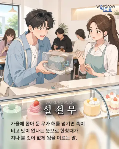 한국어 속담 “설 쇤 무” 1컷 일러스트