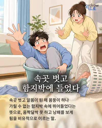 한국어 속담 “속곳 벗고 함지박에 들었다” 1컷 일러스트