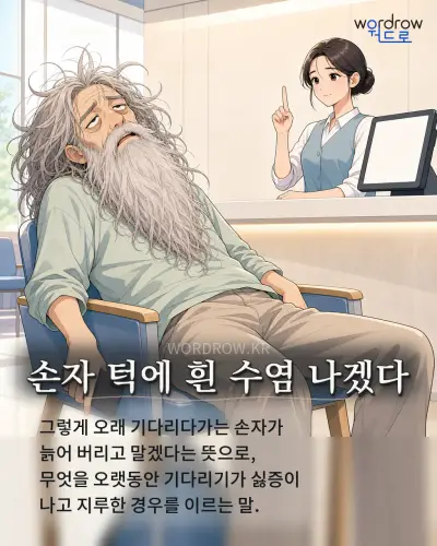 한국어 속담 “손자 턱에 흰 수염 나겠다” 1컷 일러스트