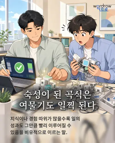 한국어 속담 “숙성이 된 곡식은 여물기도 일찍 된다” 1컷 일러스트