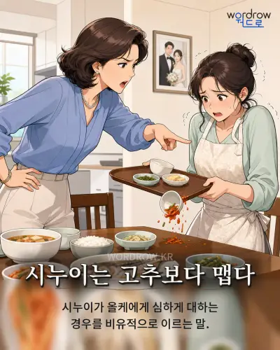 한국어 속담 “시누이는 고추보다 맵다” 1컷 일러스트
