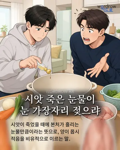 한국어 속담 “시앗 죽은 눈물이 눈 가장자리 젖으랴” 1컷 일러스트
