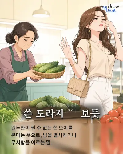한국어 속담 “쓴 도라지[오이] 보듯” 1컷 일러스트