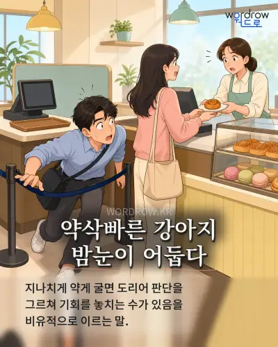 한국어 속담 “약삭빠른 강아지 밤눈이 어둡다”를 한 장면으로 담은 1컷 일러스트