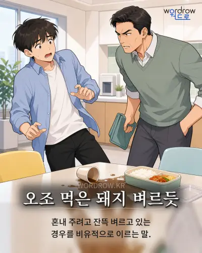 한국어 속담 “오조 먹은 돼지 벼르듯” 1컷 일러스트