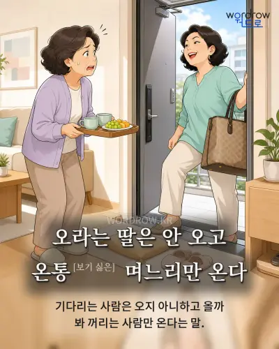 한국어 속담 “오라는 딸은 안 오고 온통[보기 싫은] 며느리만 온다” 1컷 일러스트