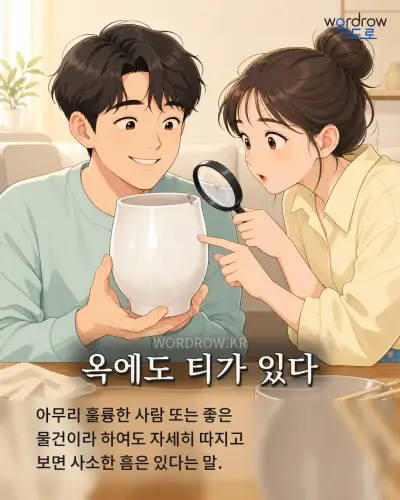 한국어 속담 “옥에도 티가 있다” 1컷 일러스트