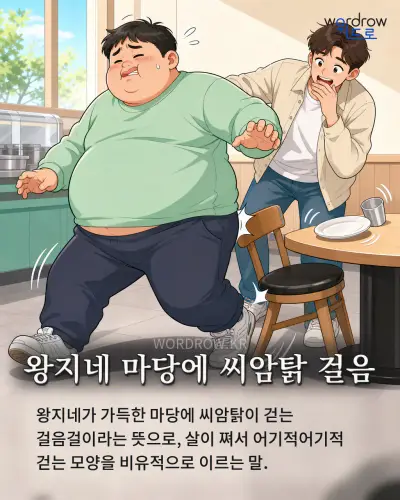 한국어 속담 “왕지네 마당에 씨암탉 걸음” 1컷 일러스트
