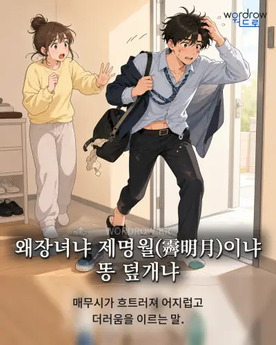 한국어 속담 “왜장녀냐 제명월(霽明月)이냐 똥 덮개냐” 1컷 일러스트