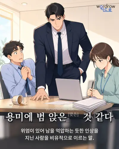 한국어 속담 “용미에 범 앉은[맞은] 것 같다” 1컷 일러스트