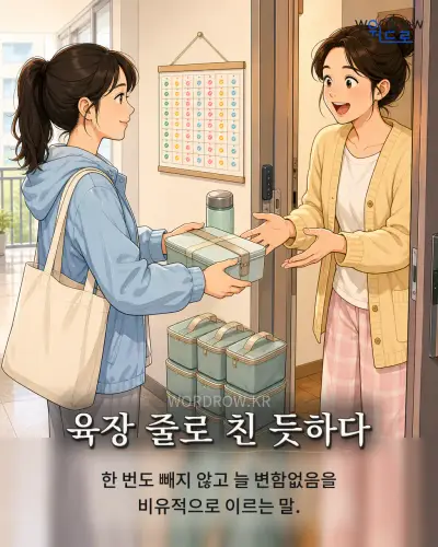 한국어 속담 “육장 줄로 친 듯하다” 1컷 일러스트