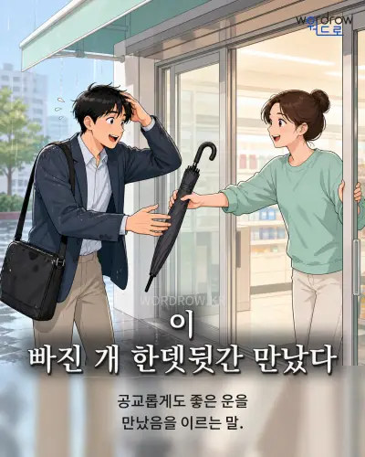 한국어 속담 “이 빠진 개 한뎃뒷간 만났다” 1컷 일러스트