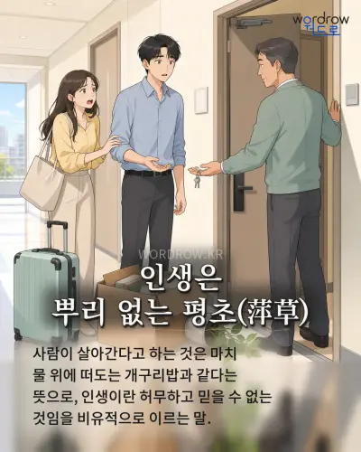 한국어 속담 “인생은 뿌리 없는 평초(萍草)” 1컷 일러스트