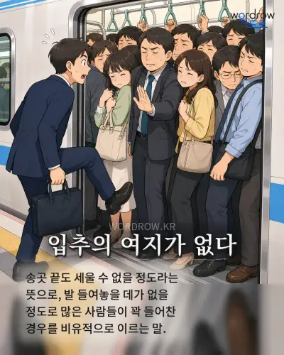 한국어 속담 “입추의 여지가 없다” 1컷 일러스트
