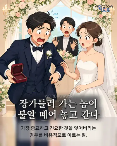 한국어 속담 “장가들러 가는 놈이 불알 떼어 놓고 간다” 1컷 일러스트