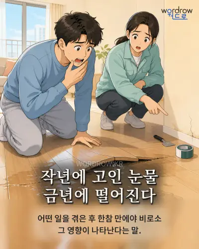 한국어 속담 “작년에 고인 눈물 금년에 떨어진다” 1컷 일러스트