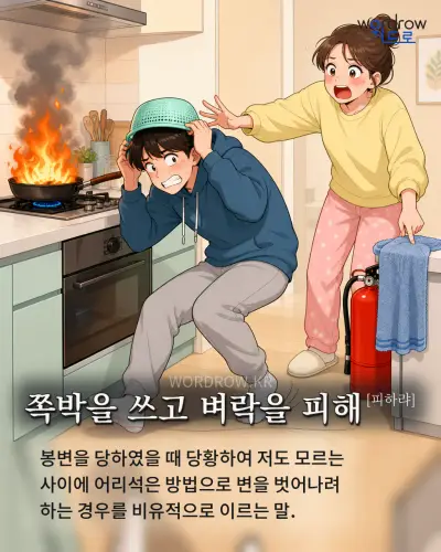 한국어 속담 “쪽박을 쓰고 벼락을 피해[피하랴]” 1컷 일러스트