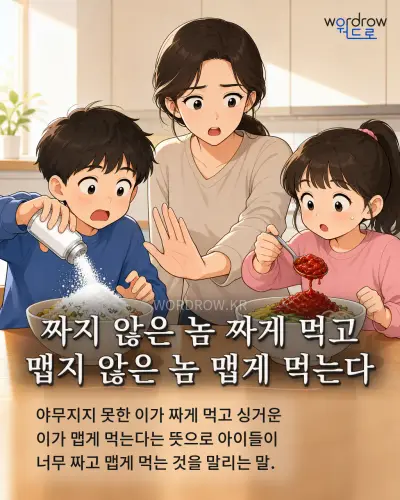 한국어 속담 “짜지 않은 놈 짜게 먹고 맵지 않은 놈 맵게 먹는다” 1컷 일러스트