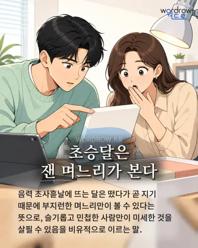 한국어 속담 “초승달은 잰 며느리가 본다” 1컷 일러스트