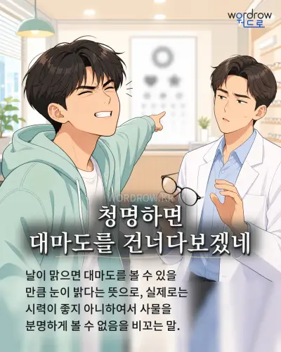 한국어 속담 “청명하면 대마도를 건너다보겠네”를 한 장면으로 담은 1컷 일러스트