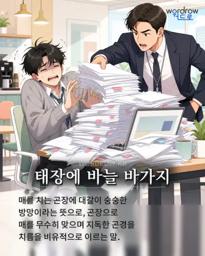 한국어 속담 “태장에 바늘 바가지” 1컷 일러스트