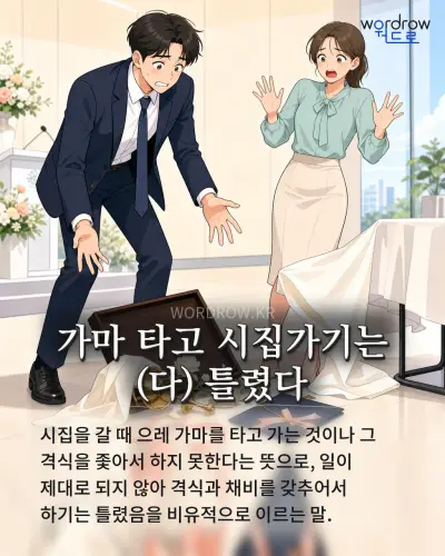 한국어 속담 “가마 타고 시집가기는 틀렸다” 1컷 일러스트