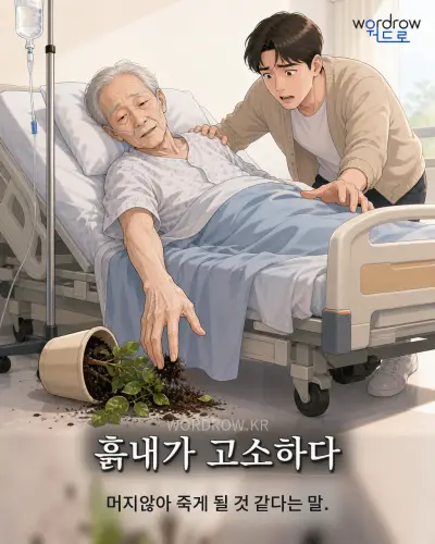 한국어 속담 “흙내가 고소하다” 1컷 일러스트