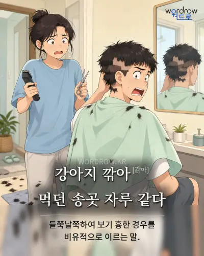 한국어 속담 “강아지 깎아[갉아] 먹던 송곳 자루 같다” 1컷 일러스트
