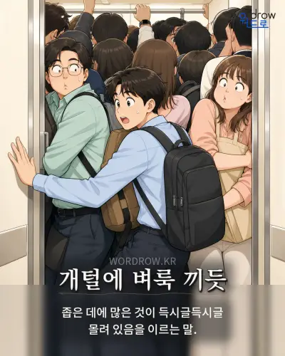 한국어 속담 “개털에 벼룩 끼듯” 1컷 일러스트