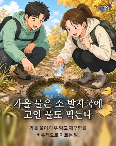 한국어 속담 “가을 물은 소 발자국에 고인 물도 먹는다” 1컷 일러스트