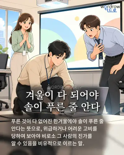 한국어 속담 “겨울이 다 되어야 솔이 푸른 줄 안다” 1컷 일러스트