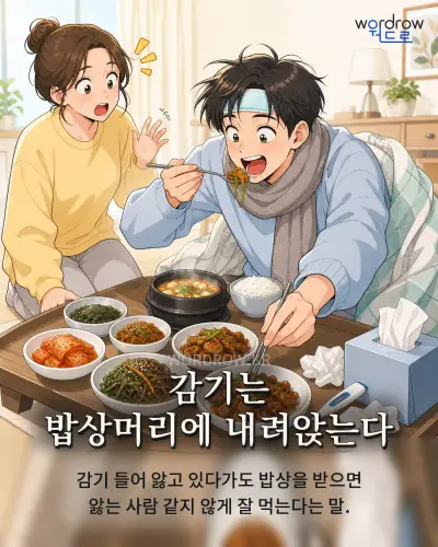 한국어 속담 “감기는 밥상머리에 내려앉는다” 1컷 일러스트