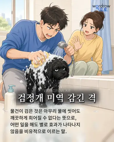 한국어 속담 “검정개 미역 감긴 격” 1컷 일러스트