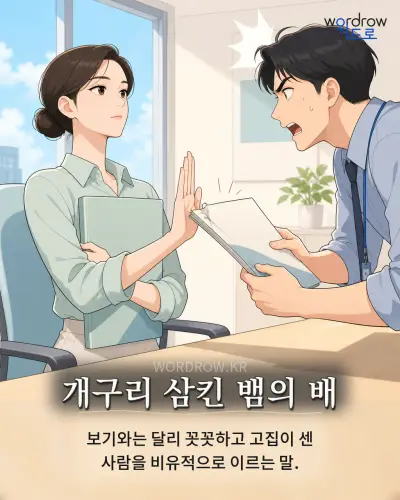 한국어 속담 “개구리 삼킨 뱀의 배” 1컷 일러스트