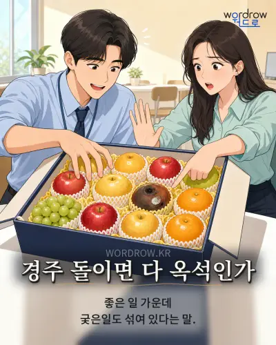 한국어 속담 “경주 돌이면 다 옥석인가” 1컷 일러스트
