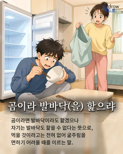 한국어 속담 “곰이라 발바닥(을) 핥으랴” 1컷 일러스트
