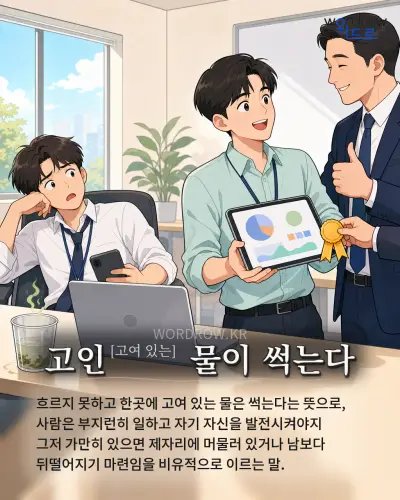 한국어 속담 “고인[고여 있는] 물이 썩는다” 1컷 일러스트