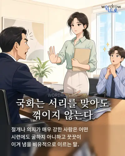 한국어 속담 “국화는 서리를 맞아도 꺾이지 않는다” 1컷 일러스트