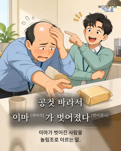 한국어 속담 “공것 바라서 이마[대머리]가 벗어졌다[벗어졌나]” 1컷 일러스트