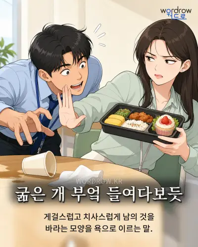 한국어 속담 “굶은 개 부엌 들여다보듯” 1컷 일러스트