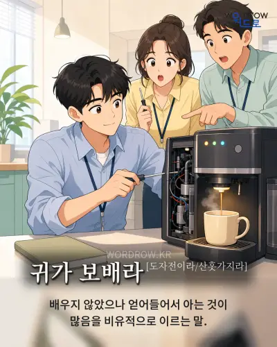 한국어 속담 “귀가 보배라[도자전이라/산홋가지라]” 1컷 일러스트
