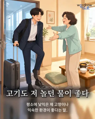 한국어 속담 “고기도 저 놀던 물이 좋다” 1컷 일러스트