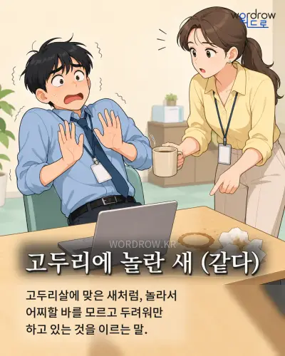 한국어 속담 “고두리에 놀란 새 (같다)” 1컷 일러스트