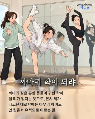 한국어 속담 “까마귀 학이 되랴” 1컷 일러스트