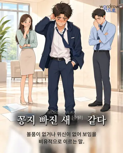 한국어 속담 “꽁지 빠진 새[수탉] 같다” 1컷 일러스트